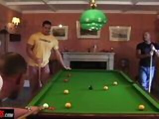 pool alphamales